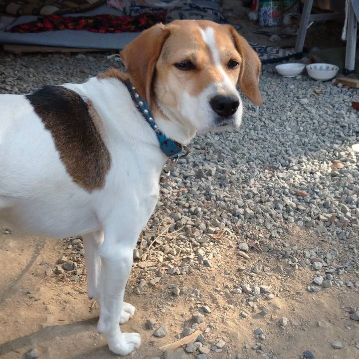 Bd49601f 45fc 4e98 835b e010097ca8e3 1607407346187