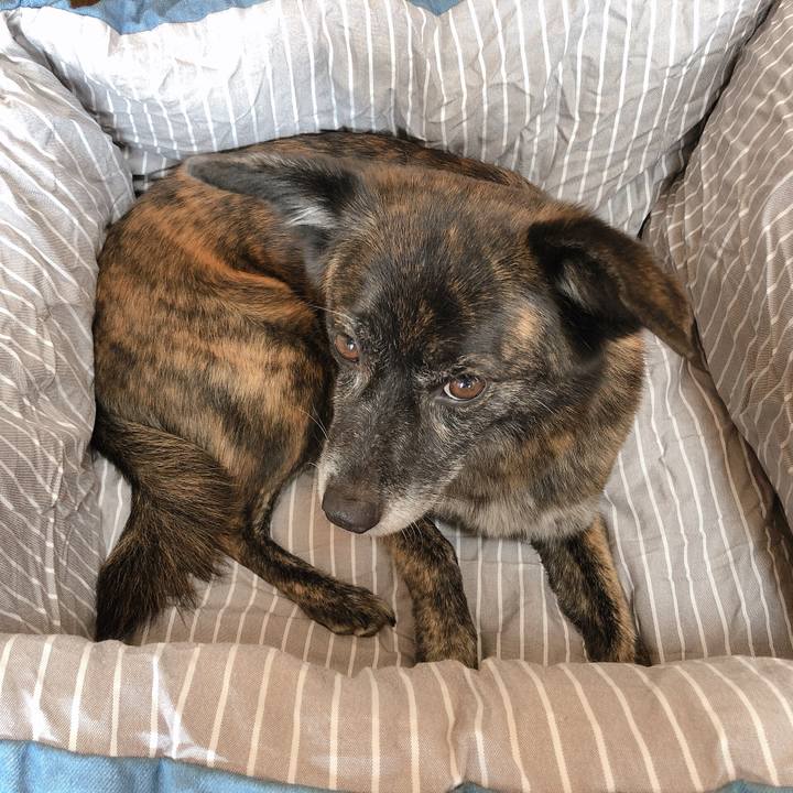 Bd496a55 8a9e 4cbf a80f ee5142d6dc83 1568871140048