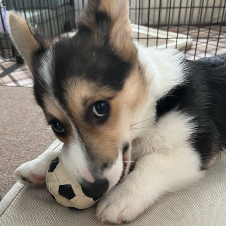 Bd49a69b 8858 46f1 9f6f 075254f1c017 1773362669589