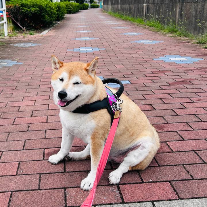 Bd49ae9a 6b79 4e0f 946b d24b51070fd8 1727922286747