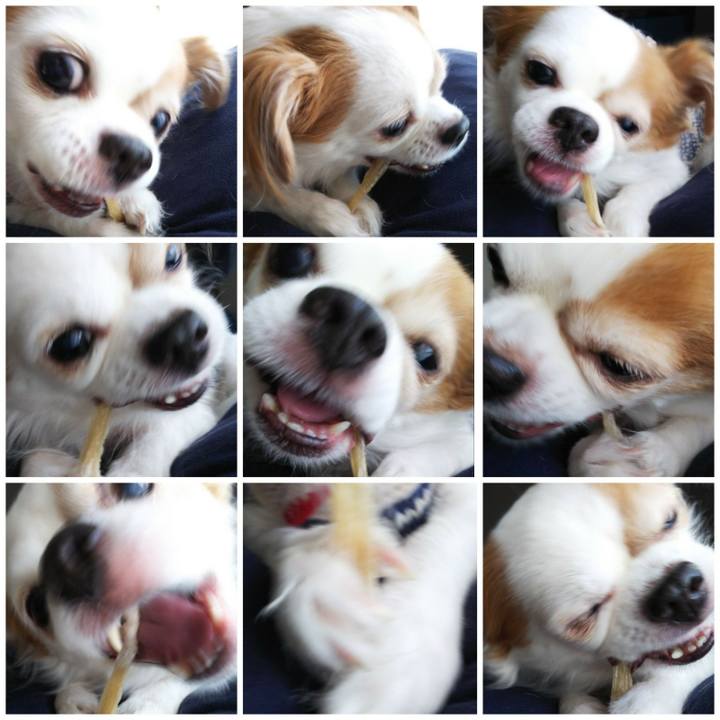 Bd49b553 6fb1 4f2d bcdc 0ee1dfec66d6 1515296466990