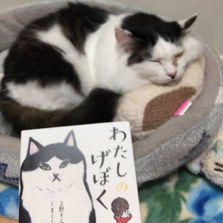 Bd49dbd9 29a5 4100 aa49 9fd65b4eb1cd 1537698626393