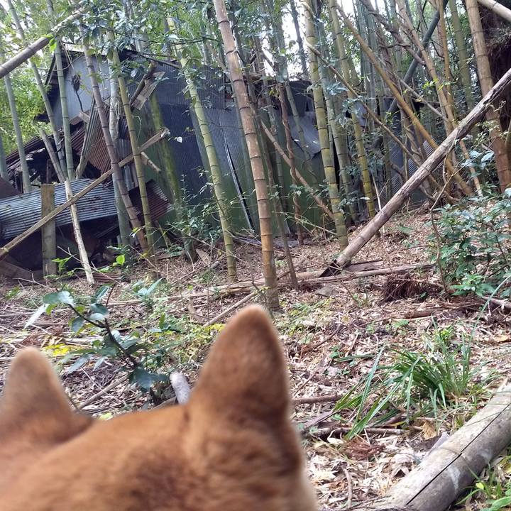 Bd49dfe9 c15b 440e b436 b19b3b34d966 1544770217190