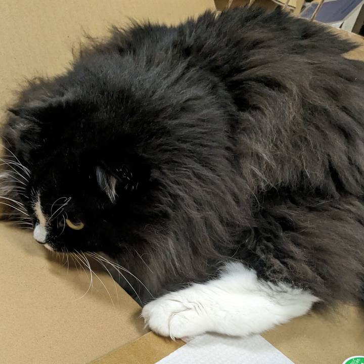 Bd49e080 e600 43c9 8289 a10c52b1bc56 1692791939101