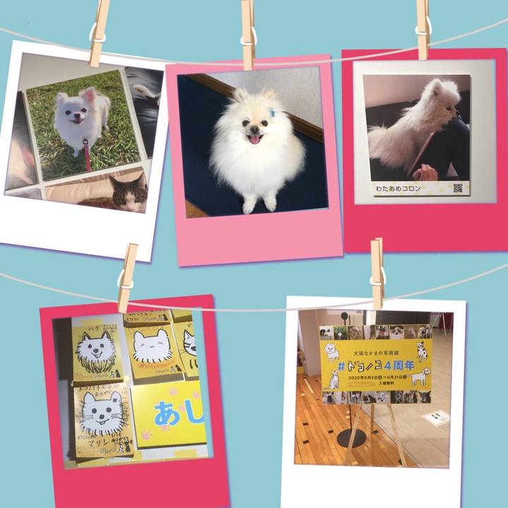 Bd4a0142 9120 494a a3ca f23eb87d3460 1592562394870