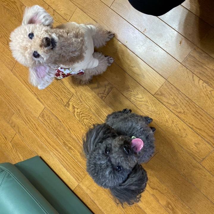 Bd4a1c4d 1423 4360 85b3 937d42a2792a 1641119239837