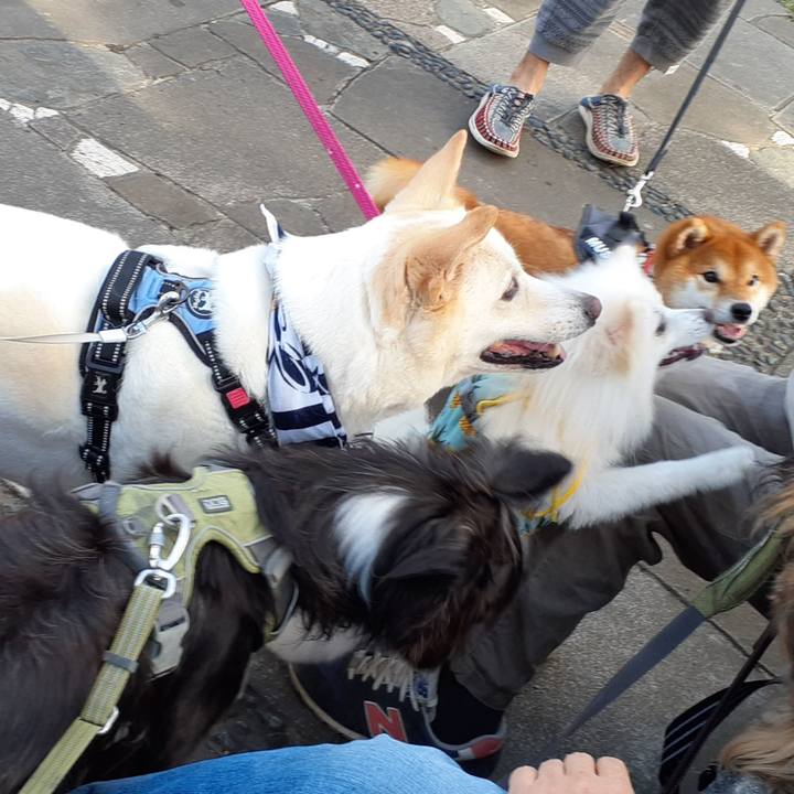 Bd4a1fe7 be78 4b44 932a 5ea100689b01 1691798936045