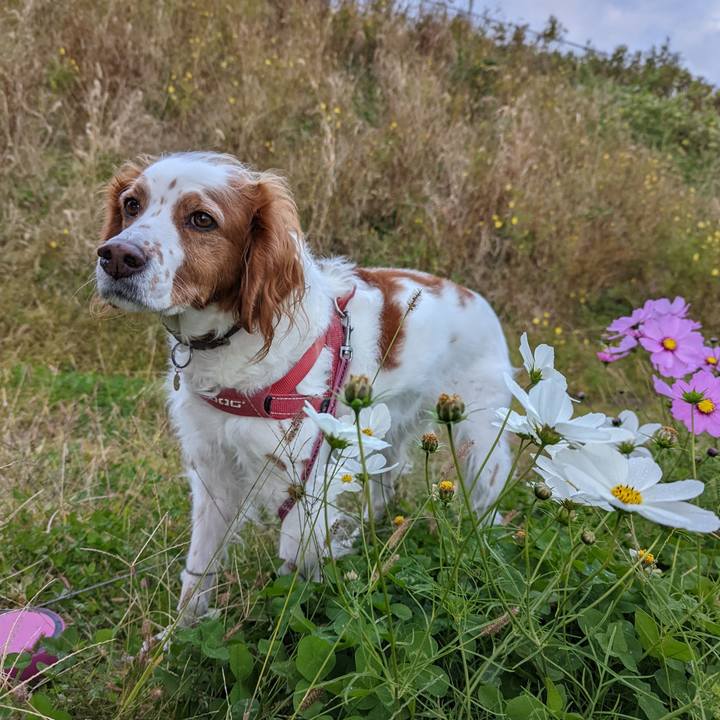 Bd4a3f6d 2515 42e3 ba73 05e631e04520 1637832406327