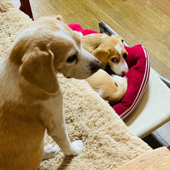 Bd4a933f 192b 46a4 a61e 1f22838b77e0 1571987726056