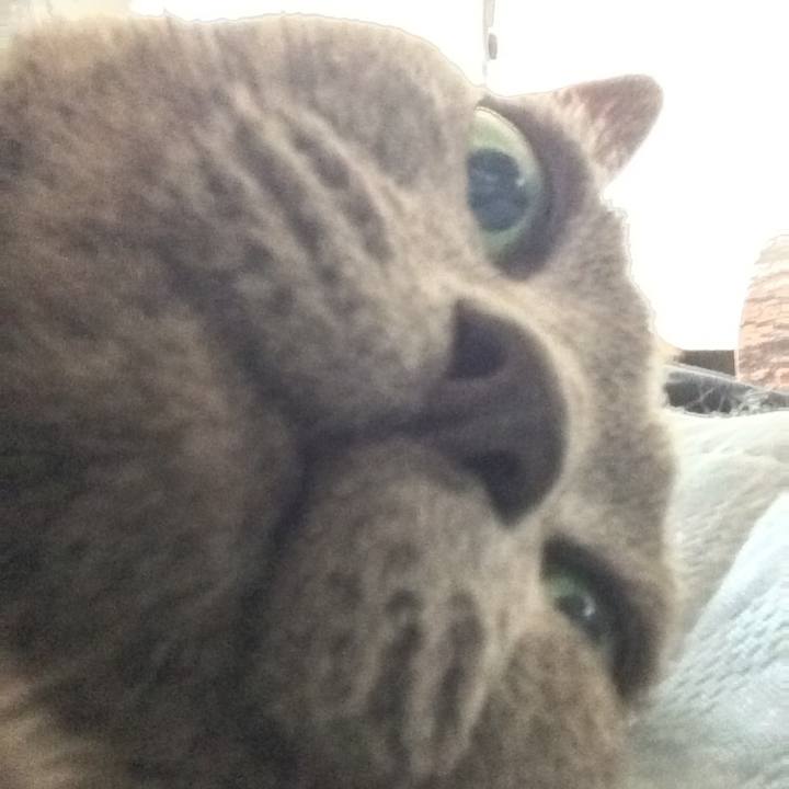 Bd4aa7e2 0a65 4d59 b4b7 ef4f290ca4b8 1528410820256