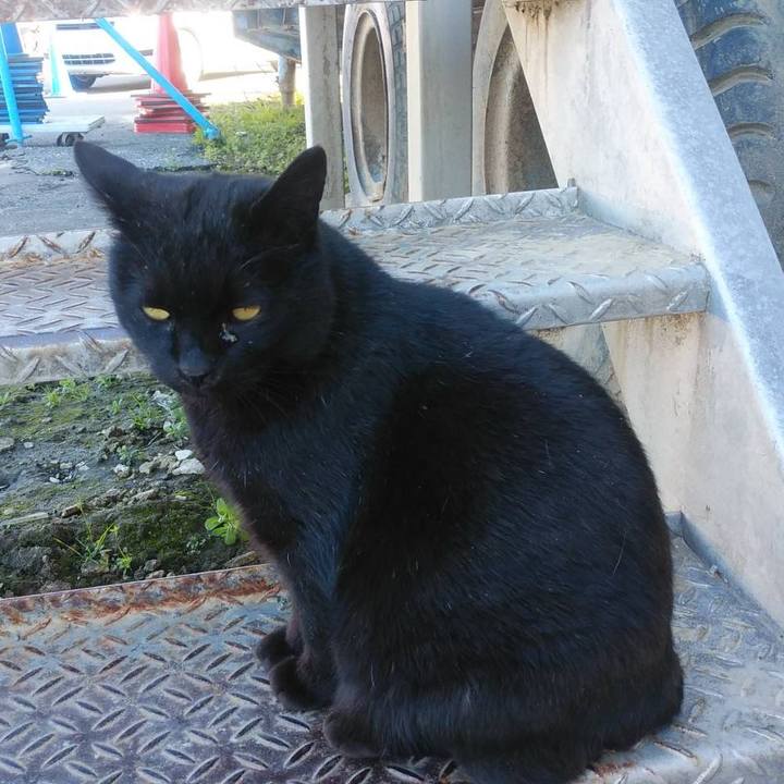 Bd4ab3a5 c451 471e 8084 743333eabacb 1584407260681