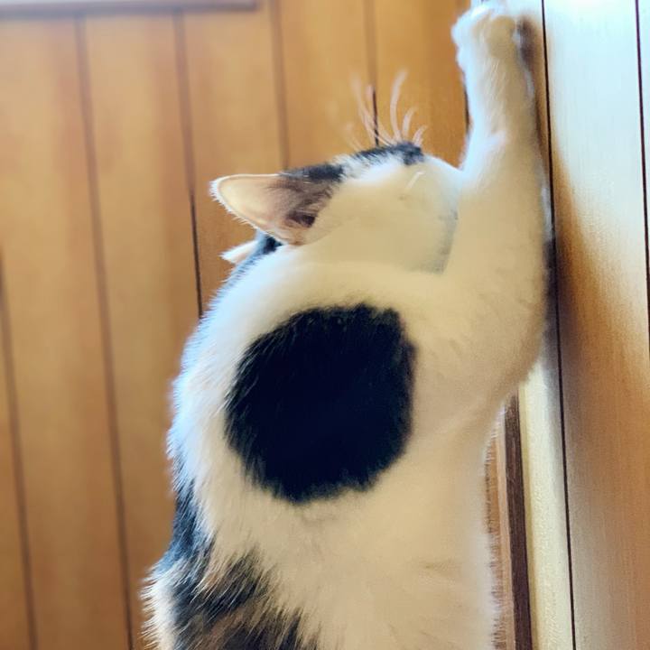 Bd4abc33 2a63 4afb ab5b b9519e2bff14 1540962061169