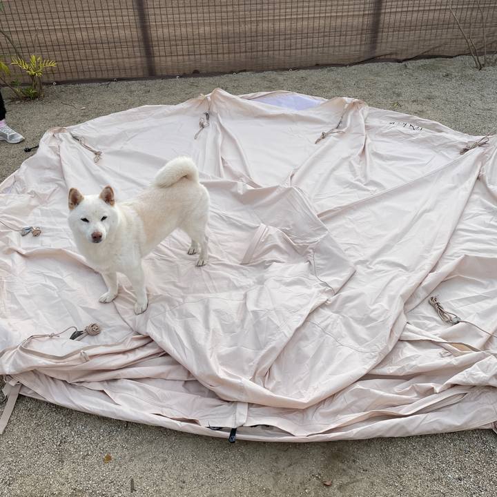 Bd4ac10e 3937 4152 9815 a64aa124a676 1698543977102