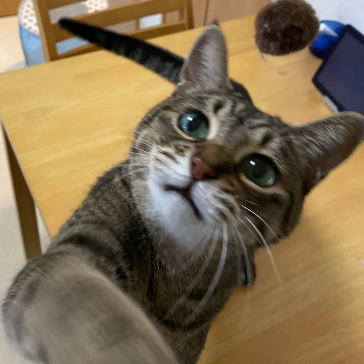 Bd4b05cd 4264 47b4 8559 d5869a610844 1768715994059