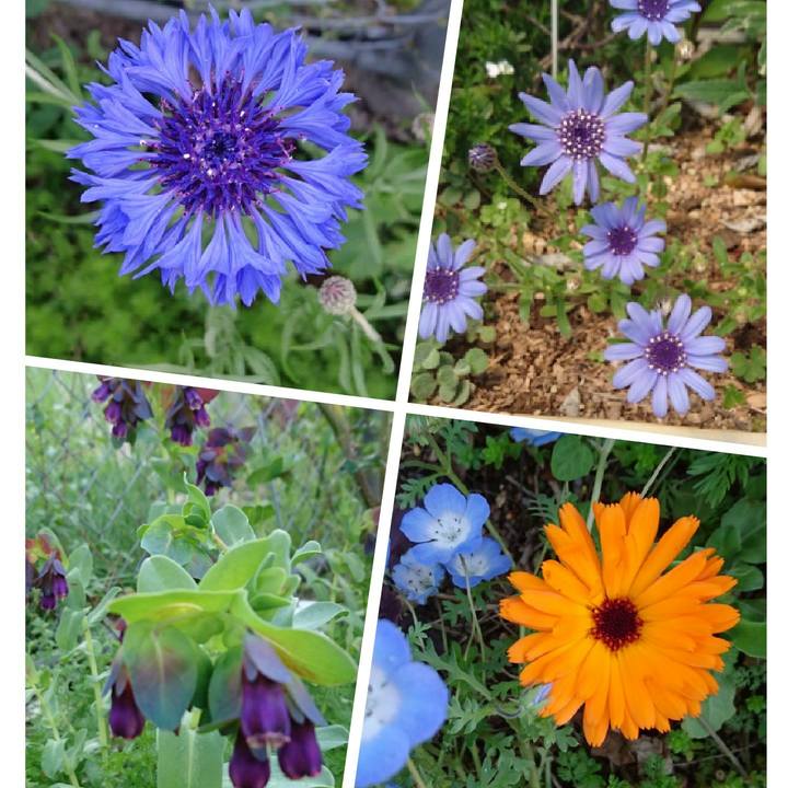 Bd4b1f87 d142 44e9 8013 316345d0cc45 1523356478379