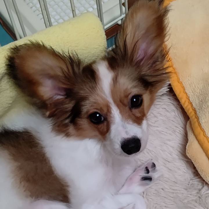 Bd4b24a1 f46b 4918 8819 560efc57ad67 1602301372901