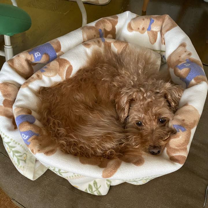 Bd4b91c4 d249 4837 a3ca 79da71b01e60 1679089451496