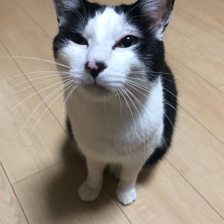 Bd4baa08 975f 49e7 a322 d191b2b69c6b 1587212689524