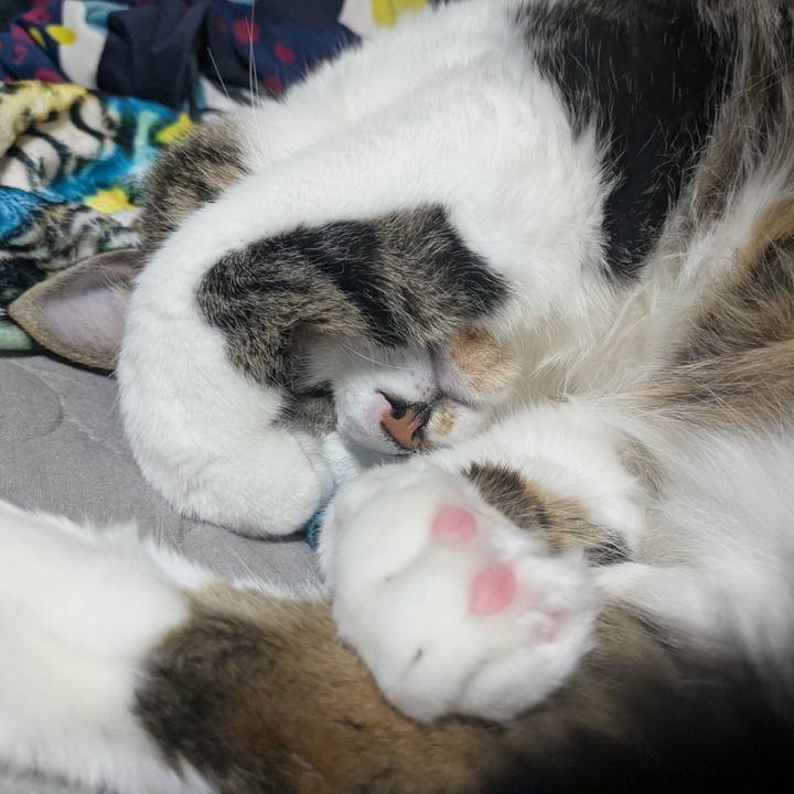 Bd4bad4d a2f8 4326 8a5d 46a76a2ad663 1762663570857