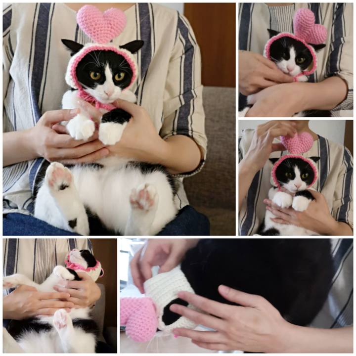 Bd4bd4ea f216 4e1b 919f 626fecbdf96a 1570263720429