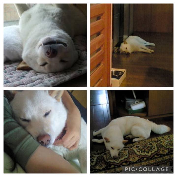 Bd4be1c2 0e61 4dfe 87f6 5952feb76402 1648614413363