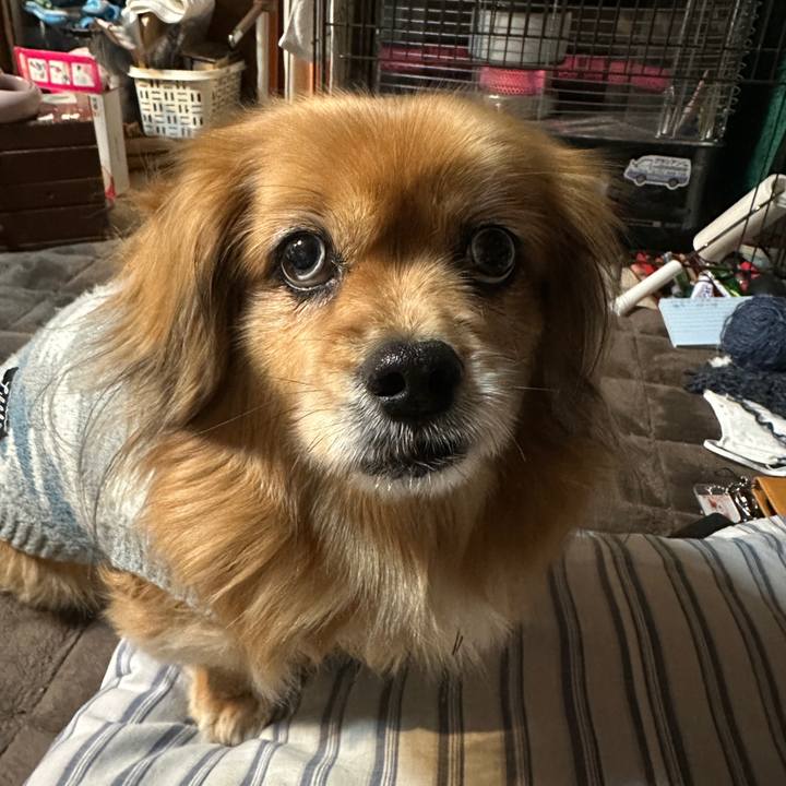 Bd4be265 c033 43d0 bbba 16d91b797065 1738272741316