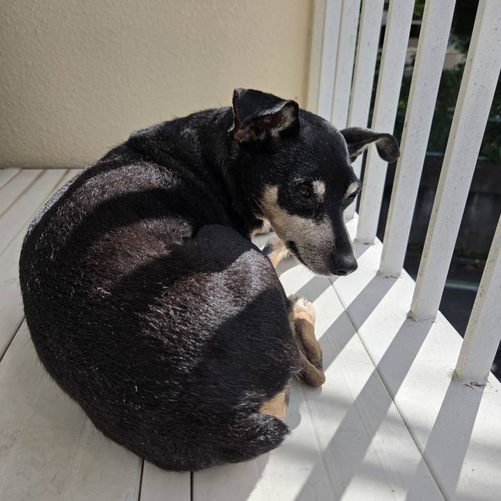 Bd4bf448 dc4d 47ad 8e9e d43eb7ed754d 1759630237595