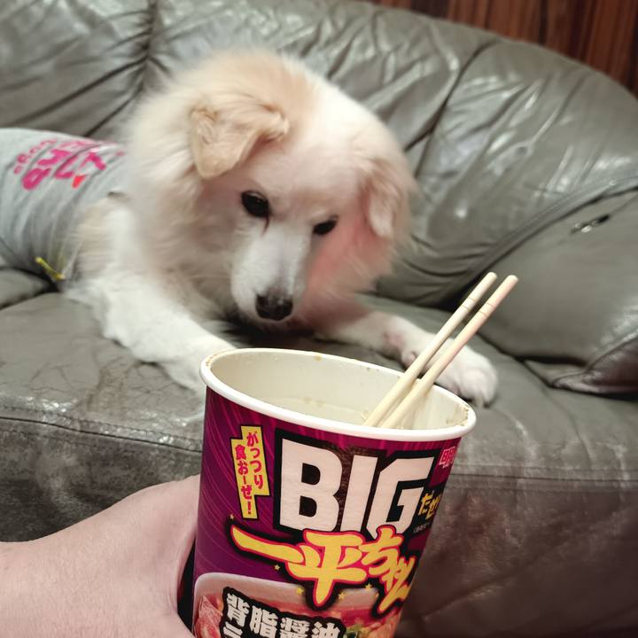 Bd4c2ea1 f2fb 4ce5 ba5b 0cf86b036800 1707818679094