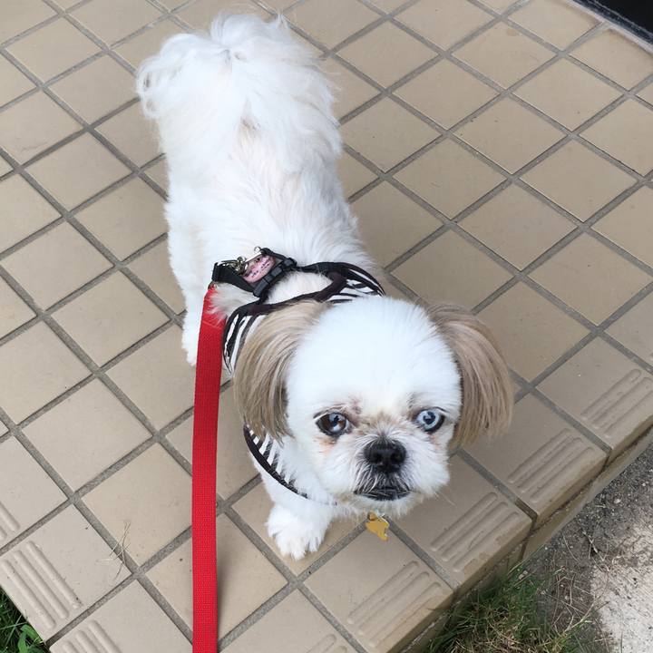 Bd4c4491 e1ad 4b31 84f3 8c9e175655d3 1566957482219