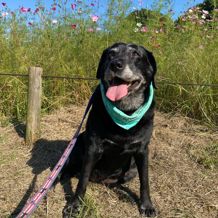 Bd4c566a a68a 4c5a b378 31a5be44fa13 1664687227327