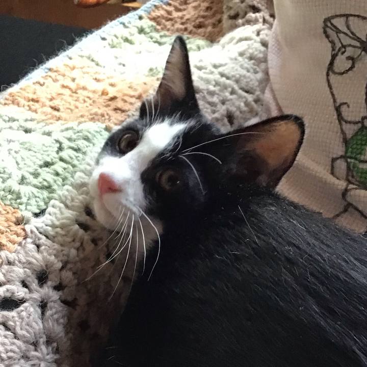 Bd4c9f83 bd53 4de7 aa6b 4d8885c244be 1627699384129