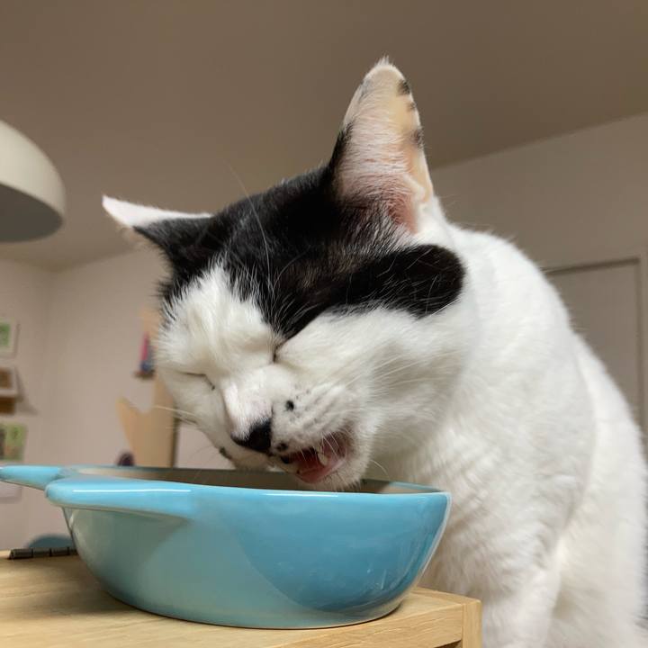 Bd4cddb6 e8b5 4b6d 8966 8bce14017e25 1771879182472