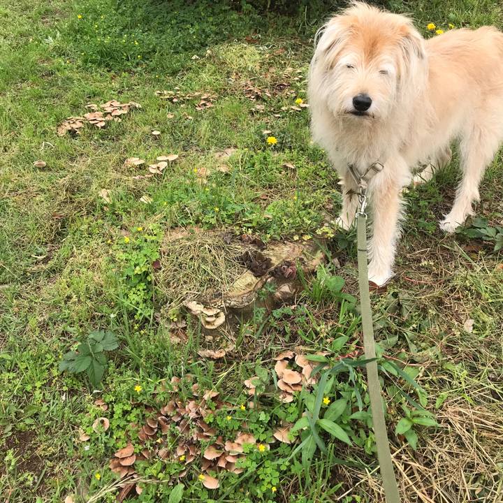 Bd4cedb8 1a8a 4ac4 bbd7 46f465603a1d 1621484844641