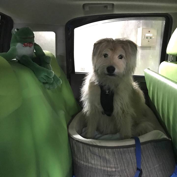 Bd4d4e44 56da 4233 84cd 560b462048f8 1635327089774