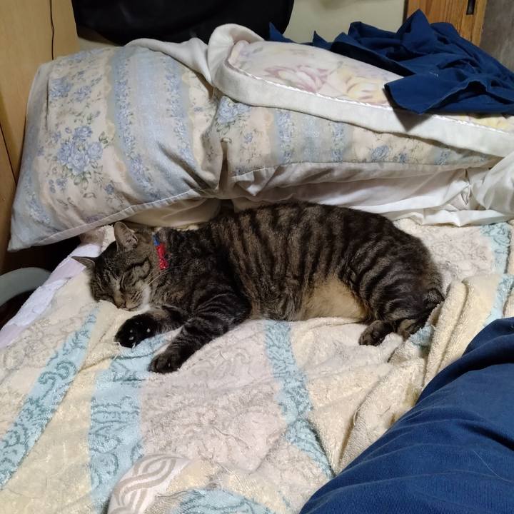 Bd4d641d 4657 4ff0 9aa9 53301f1bab87 1689424767344