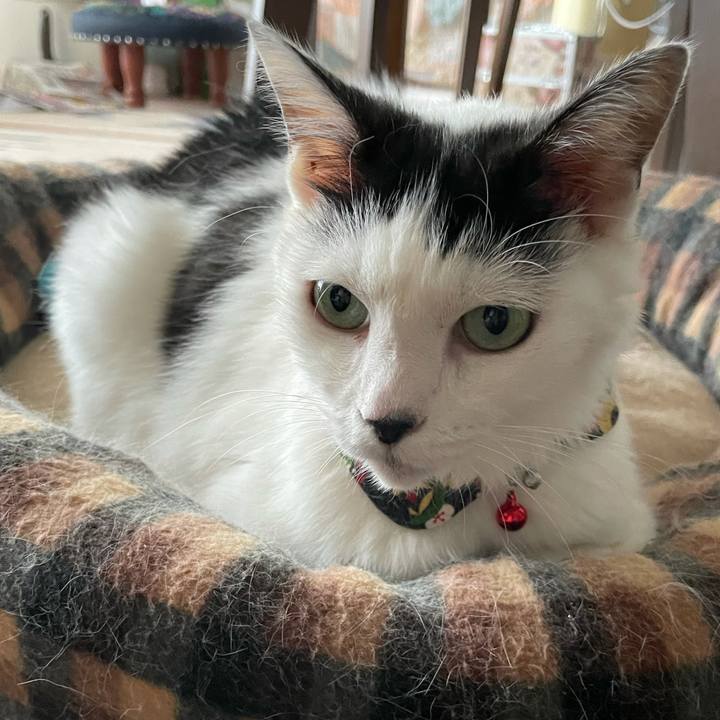 Bd4d73cc db73 4b97 819e 70e00c7a77aa 1634442453905