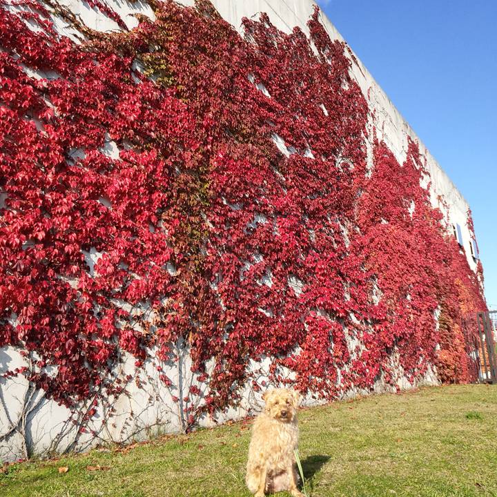 Bd4d7d05 118b 4f13 95b4 b88e3c4b56d8 1602892901419