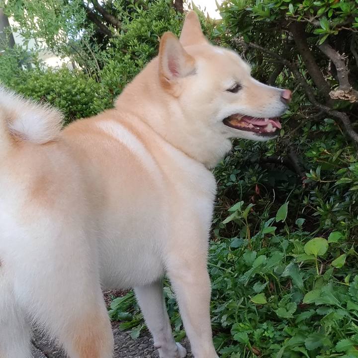 Bd4dabdc 2b96 4ccd b63c 781745dca8f0 1599170784527