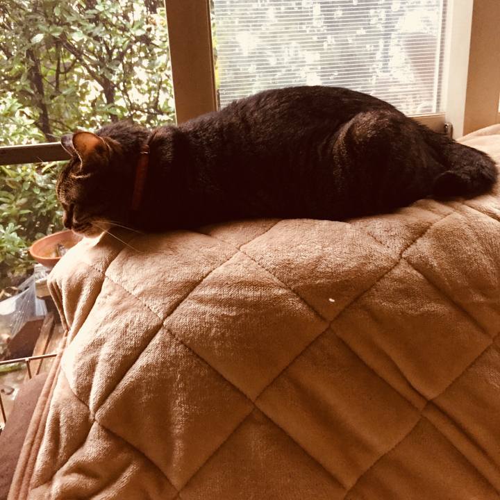 Bd4dcbe1 18e3 46cb 86f5 ce8e519a258b 1508557173367