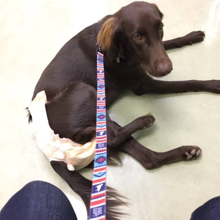 Bd4df207 db05 43dd 847e 1da89ffd268a 1574324940602