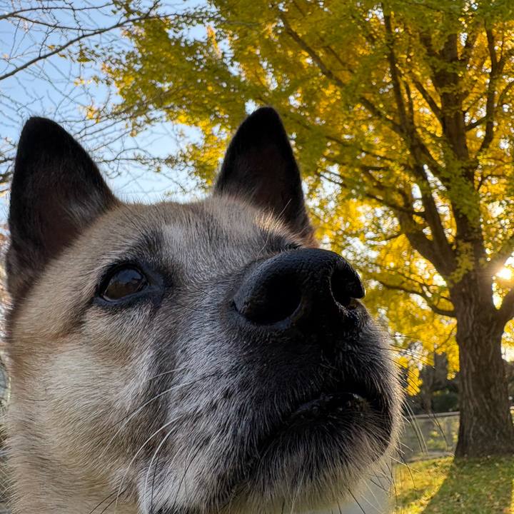 Bd4e3311 fa92 4e49 b15f f69cd81af1d7 1763806791441