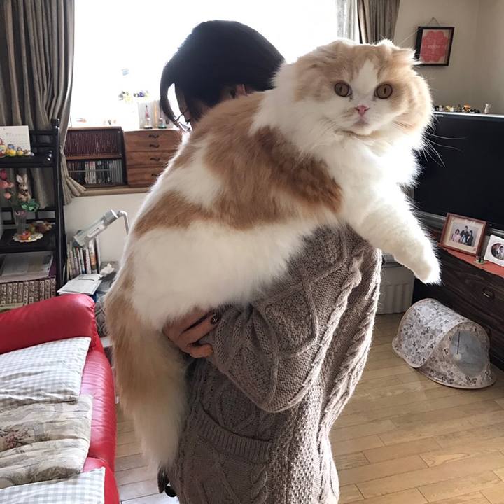 Bd4e34dc 8c8b 42d4 84a1 23cda0526ea4 1543146484658