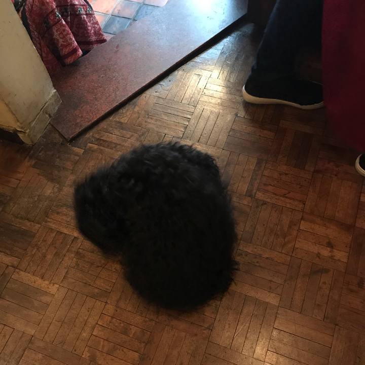 Bd4e85ca d8c1 4cf7 9fd2 43cced2c9eba 1516250868068