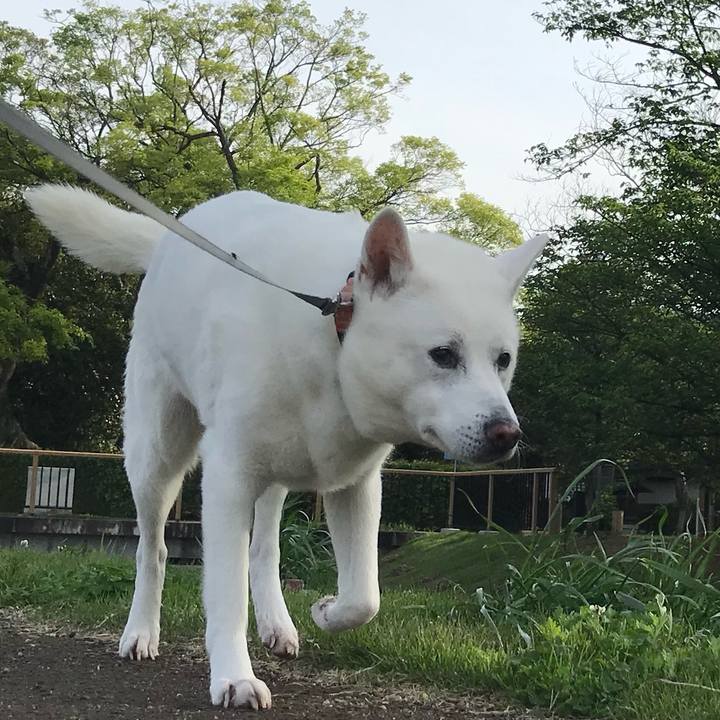 Bd4e8fc1 2e1e 49e7 a6a6 8cf81a2d614b 1557047924478