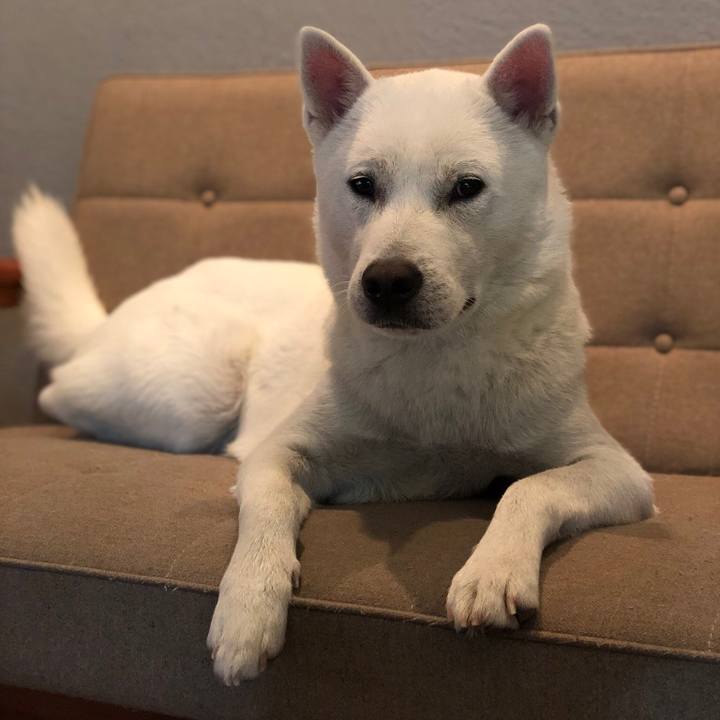 Bd4eacc1 a6a2 4d2c 89f5 5c6827dec701 1548169380964