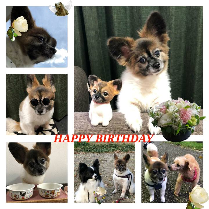 Bd4eb30b f379 4da1 bc95 66e82d83c0b4 1577595087853