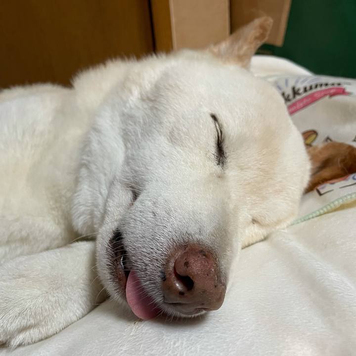 Bd4eb92e 697e 4550 b0a3 505249fce47c 1634026694934