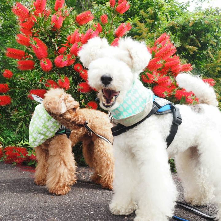 Bd4edc30 ff37 47ef 8e65 1367d145805f 1527310387922