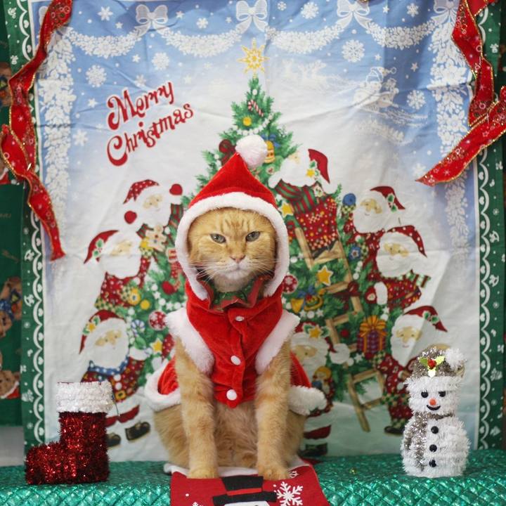 Bd4ee6f7 7ea0 40f5 9d26 444b8cf33369 1671515630638