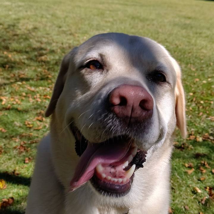 Bd4efac7 4262 4bbe 9304 b802f36d897c 1664622148594